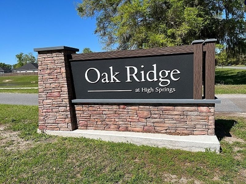 Oak Ridge by D.R. Horton in High Springs - photo