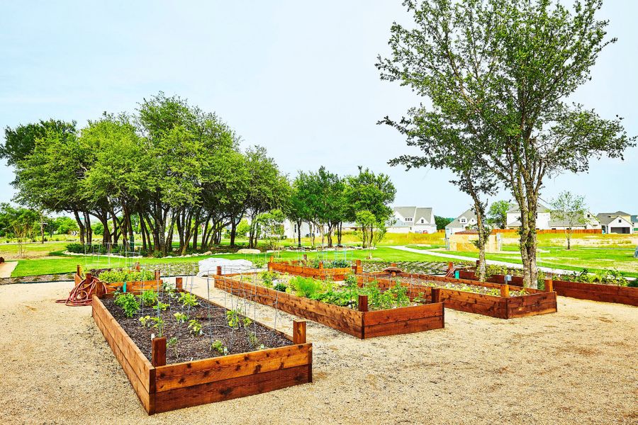 Community Garden