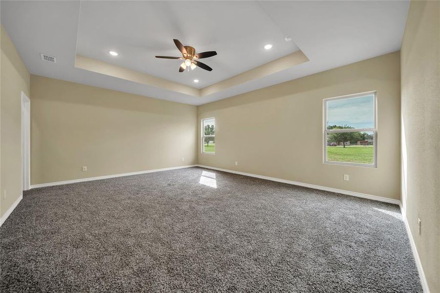 Unfurnished room with a healthy amount of sunlight, a raised ceiling, carpet, and ceiling fan