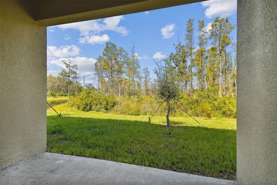 Patio View