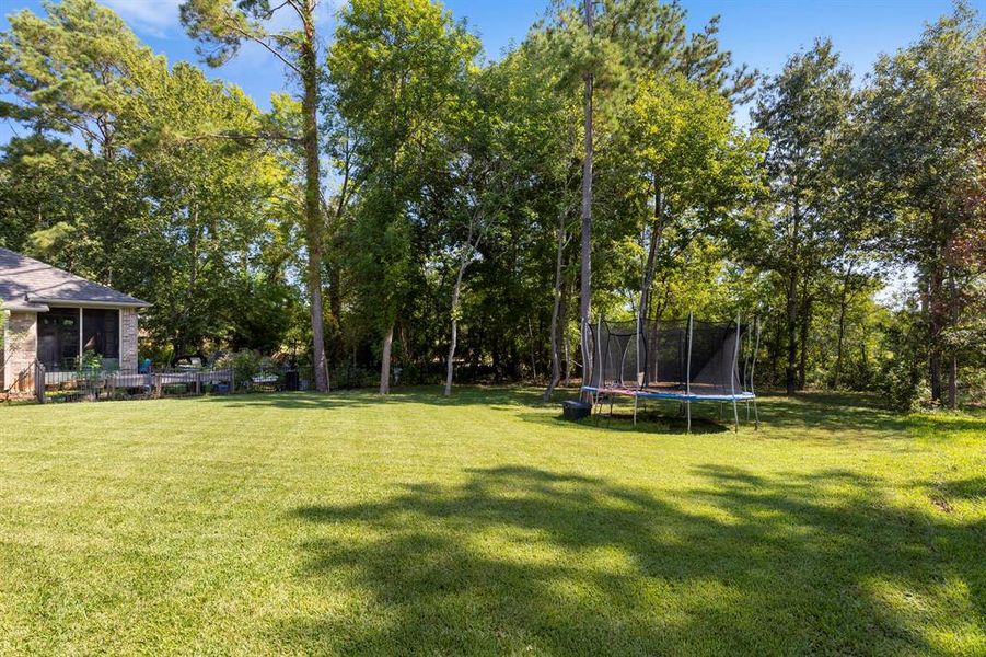 HUGE yard perfect for customizing to your hearts delight! Want a pool? Not a problem with this amount of space!