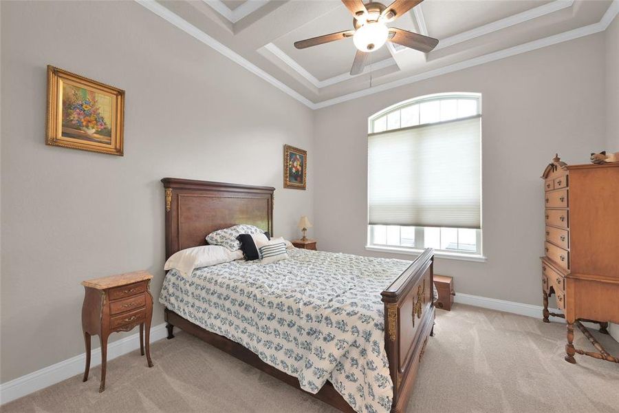 Custom tray ceiling in secondary front bedroom