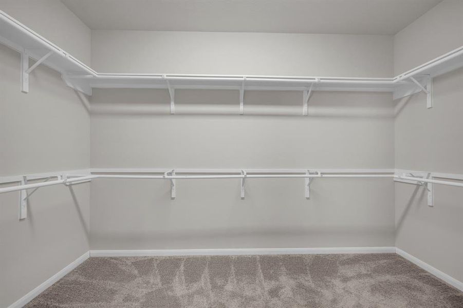 Large Walk in Primary Closet