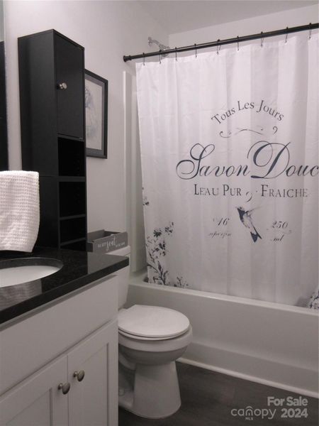 Guest bathroom