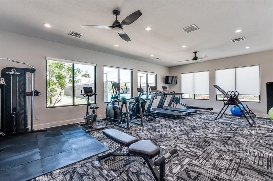 Workout area with carpet flooring and ceiling fan