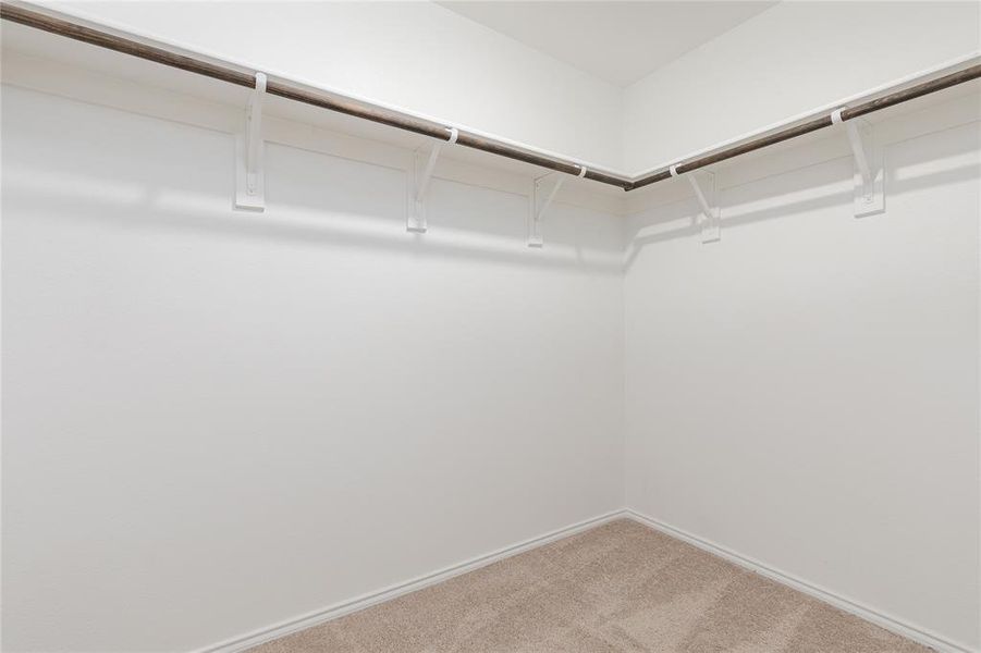 Walk in closet with carpet flooring