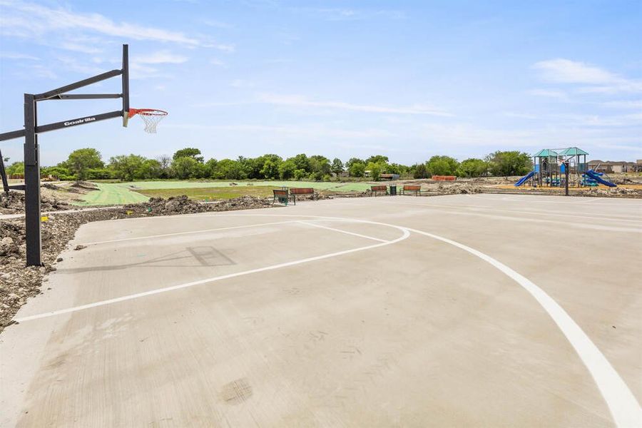 Basketball Court