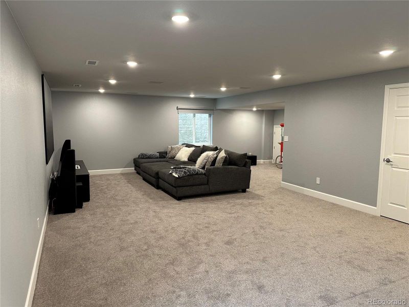 Basement Media Room