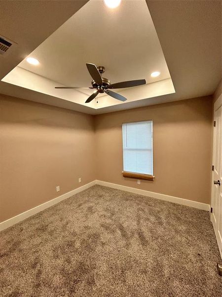 Spare room with a tray ceiling, carpet, and ceiling fan