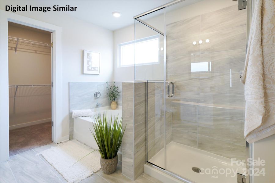 Digital Image Similar: Ceramic Tile Shower