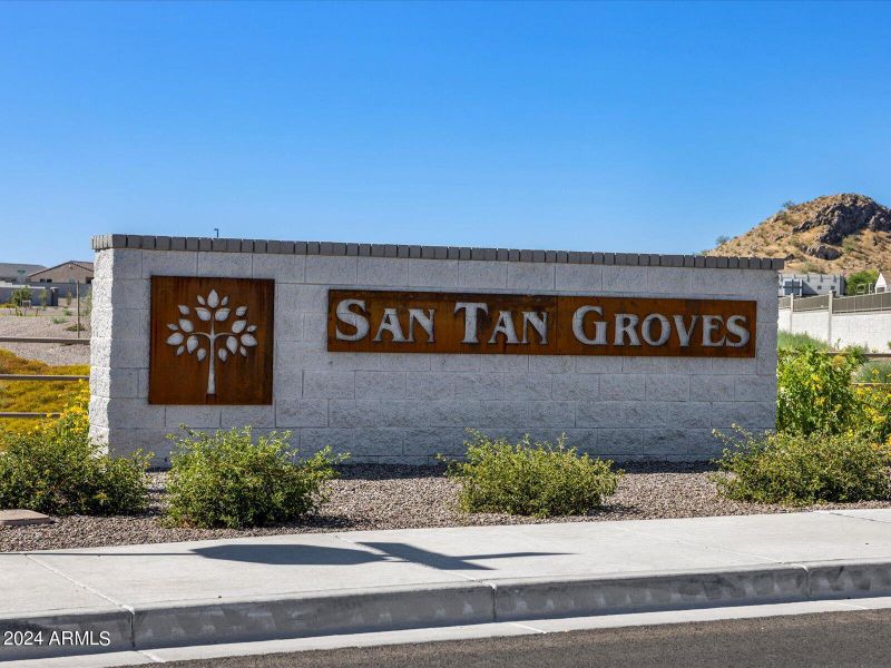 01-San Tan Groves_23