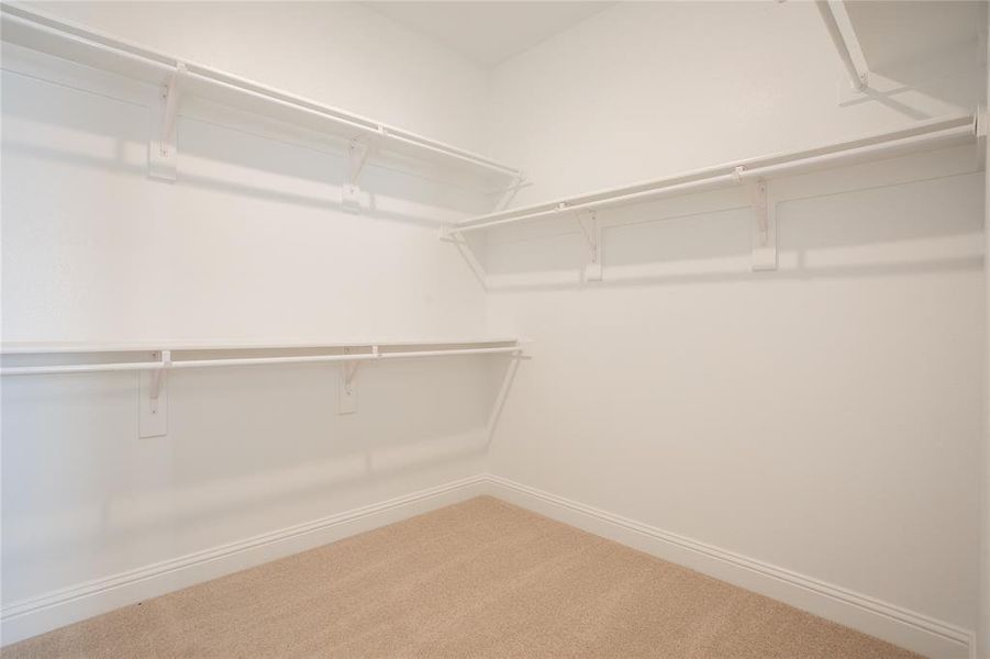 Walk in closet with carpet floors