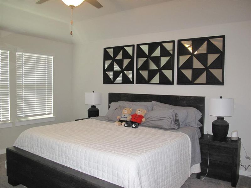 Carpeted bedroom with ceiling fan