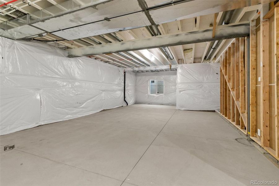 Full unfinished basement