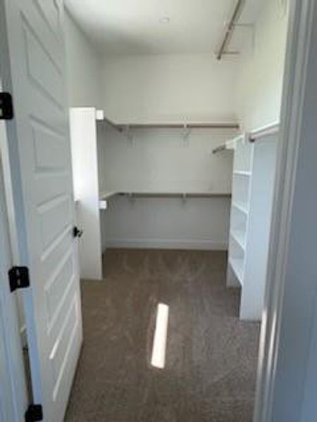 Spacious closet with dark colored carpet