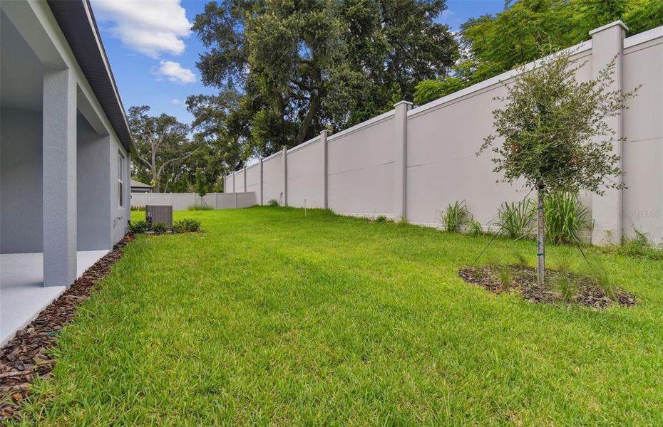 Rear Privacy Fence