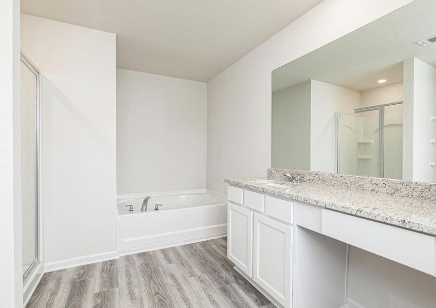 The master bathroom includes a bathtub, walk-in shower and spacious vanity area