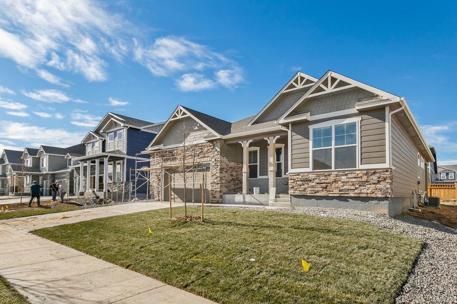 New construction Single-Family house Grover, 8644 E 132Nd Place, Thornton, CO 80602 - photo