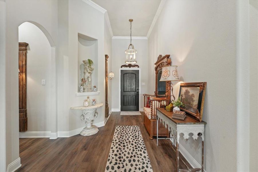 Foyer entrance with crown molding and dark hardwood / wood-style flooring