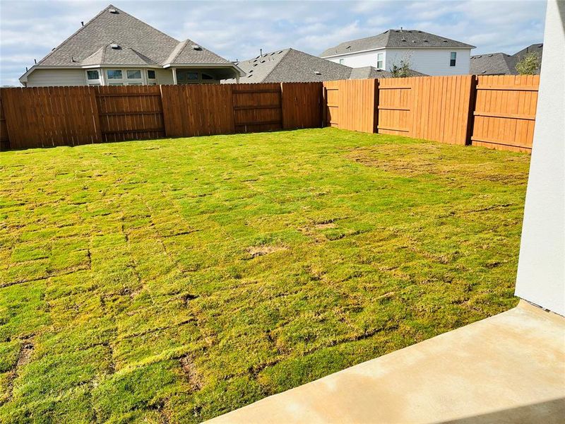 Spacious, fenced in backyard.