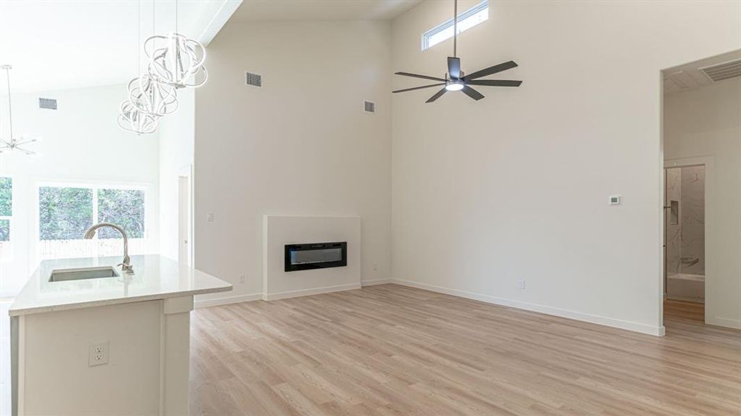 Living room with vinyl plank flooring and electric fireplae