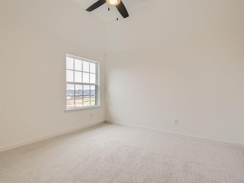 Empty room featuring carpet flooring, a high ceiling, and ceiling fan