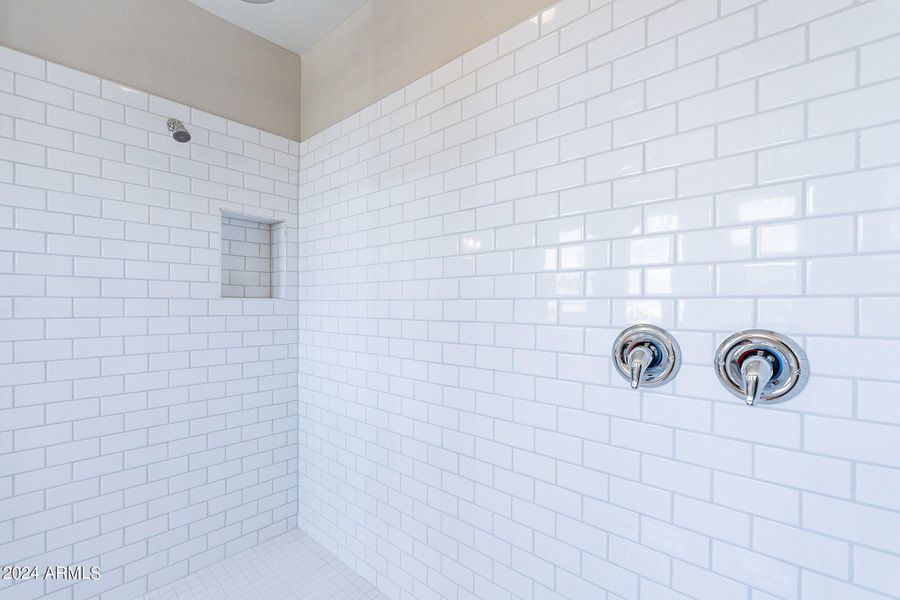 Large walk-in shower at owner's bath