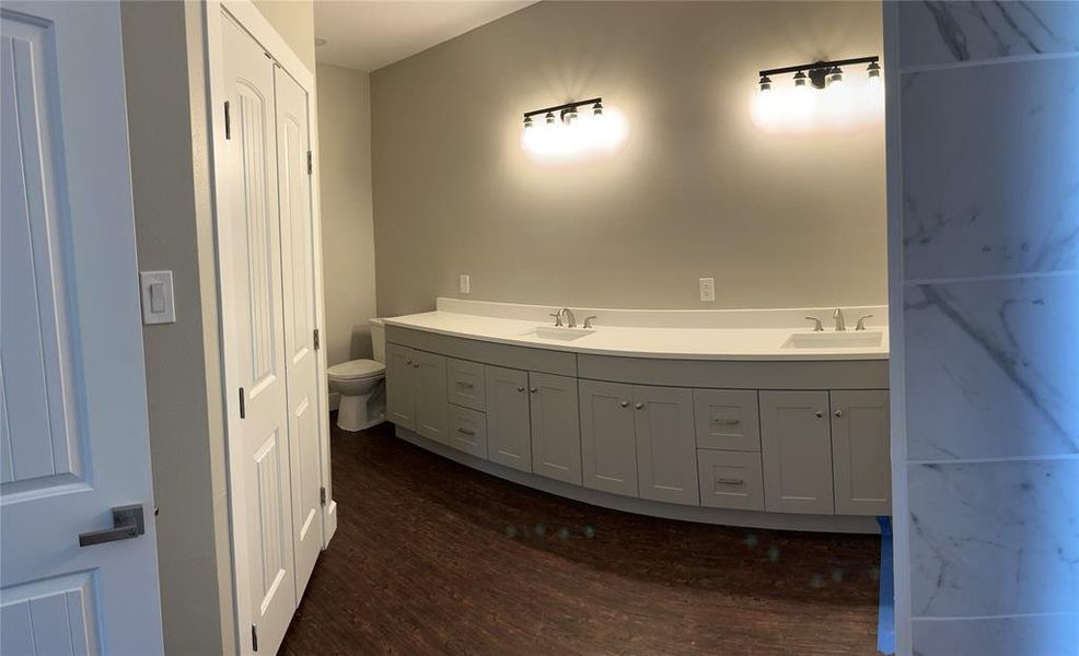 Bathroom with wood-type flooring, toilet, and vanity