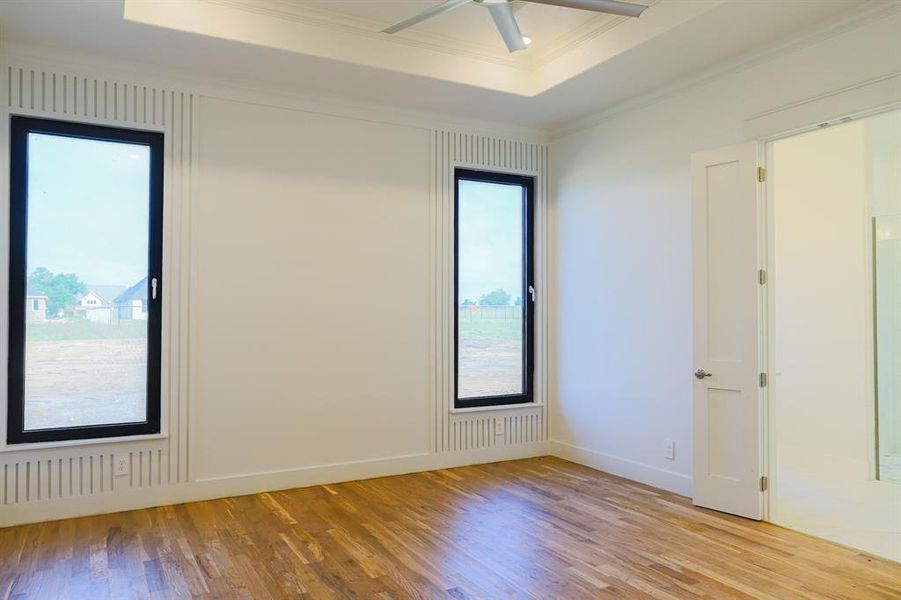 Empty room with ceiling fan, light hardwood / wood-style floors, a raised ceiling, and plenty of natural light