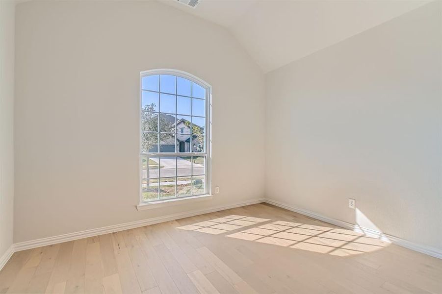 Unfurnished room with vaulted ceiling, light wood-type flooring, and a wealth of natural light