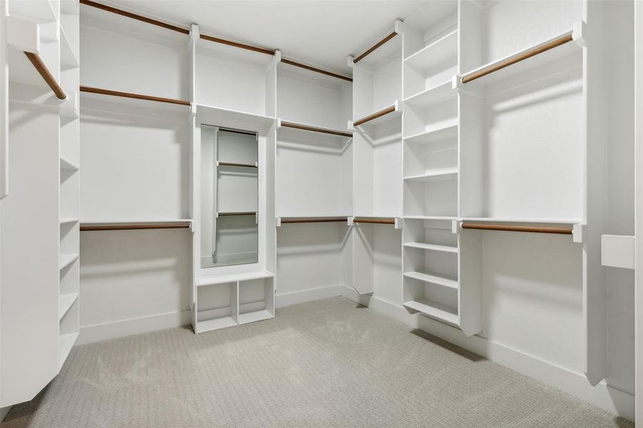 Spacious closet featuring light carpet