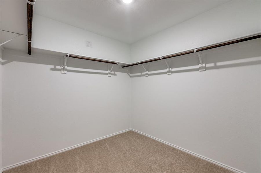 Walk in closet featuring carpet floors