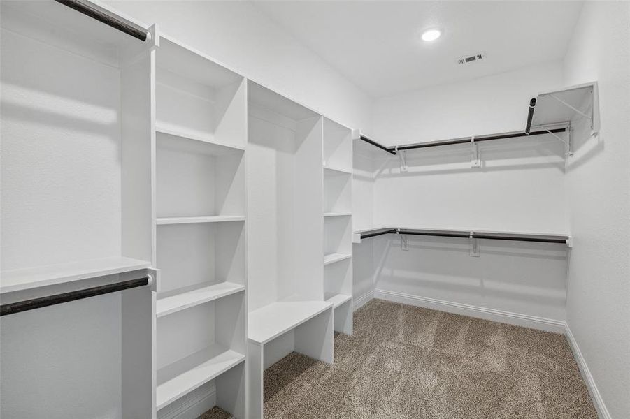 Spacious closet with carpet flooring