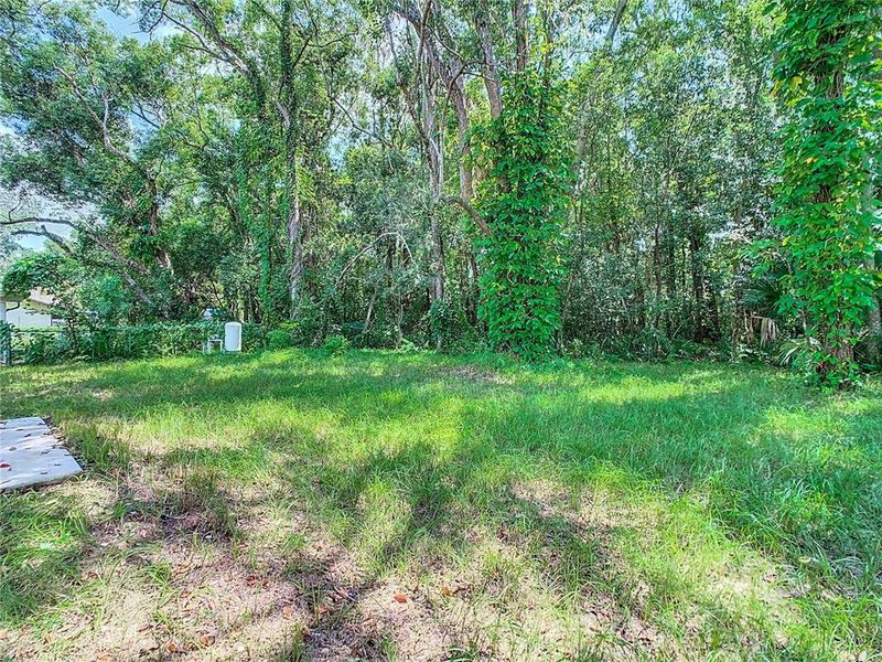 Wooded privacy lined backyard East view.