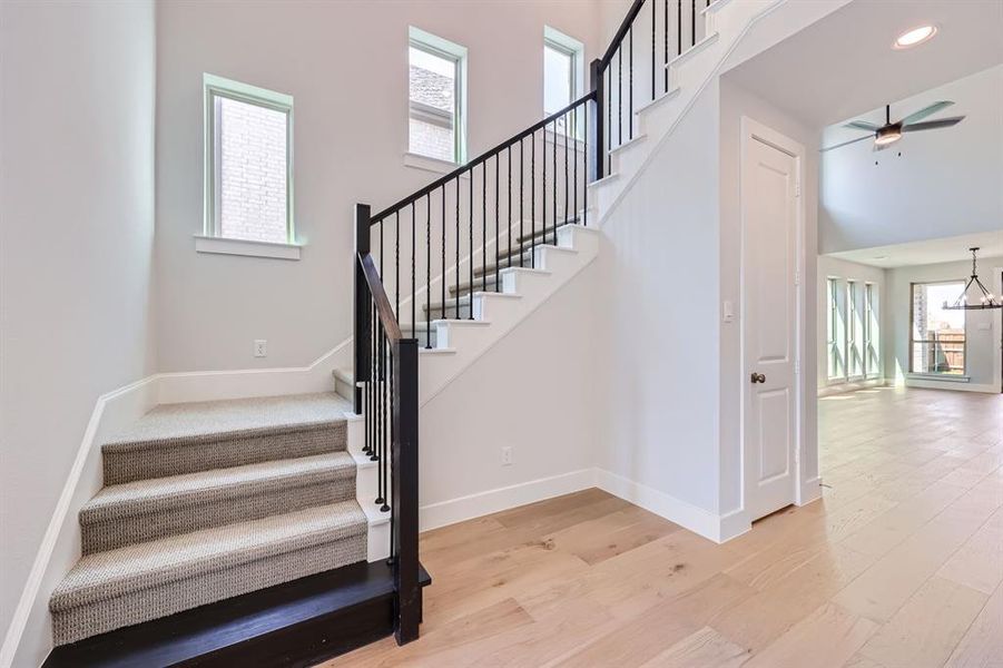 Stairs featuring a high ceiling, light wood-type flooring, ceiling fan with notable chandelier, and a healthy amount of sunlight