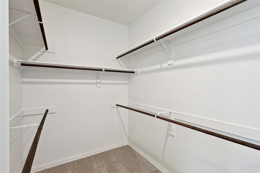 Spacious closet featuring carpet floors