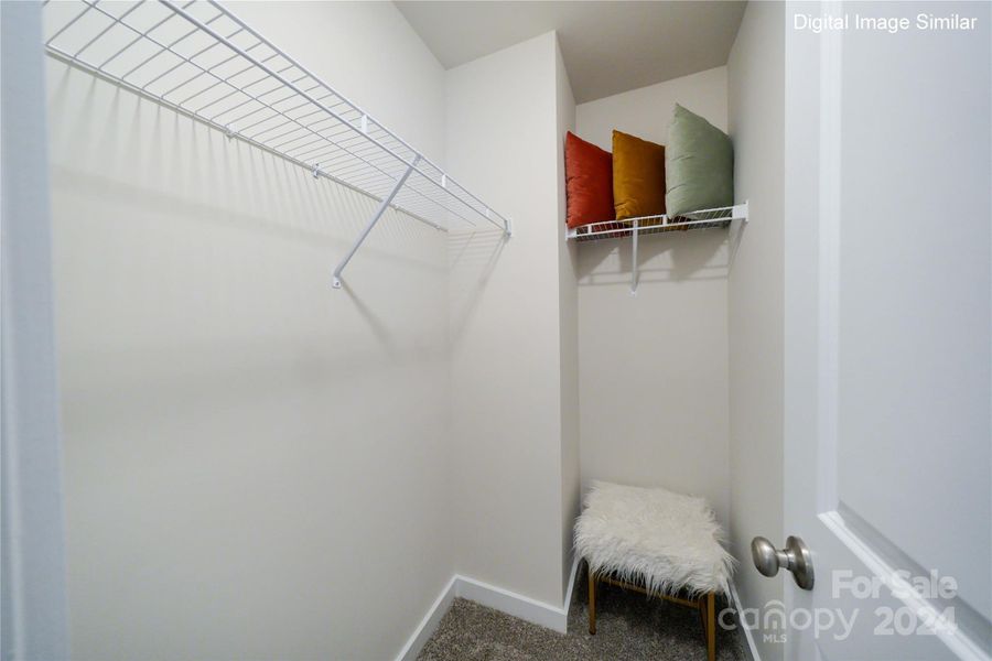 Digital Image Similar: Secondary Closet