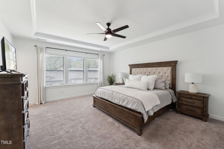 Primary Bedroom w/Trey ceiling