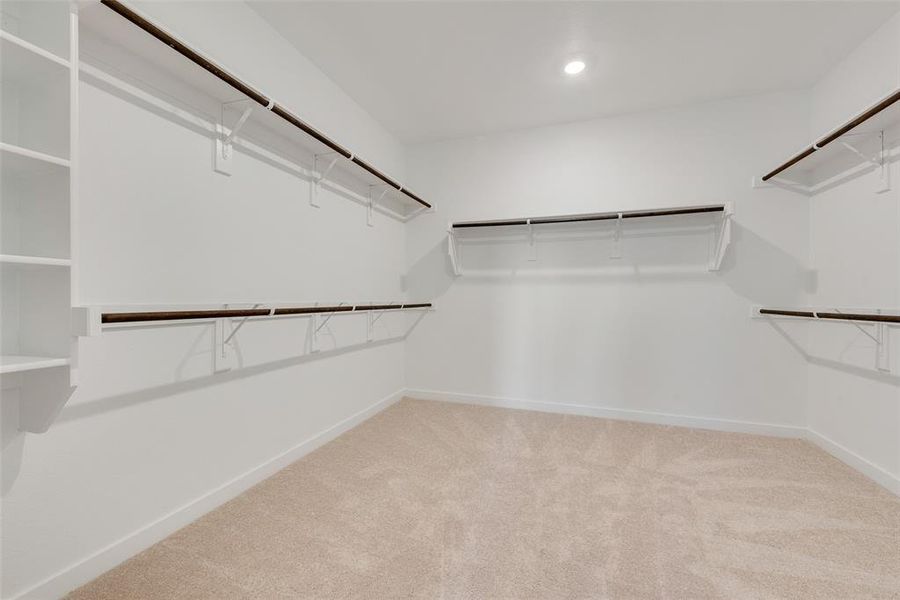 Spacious closet featuring light colored carpet