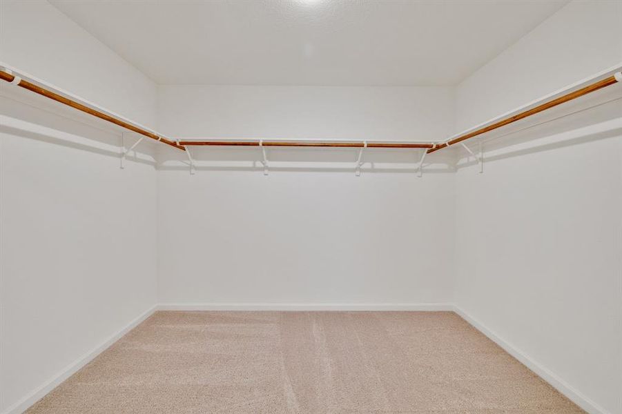 Spacious closet with carpet flooring