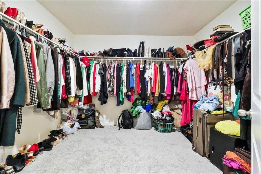 Spacious closet featuring carpet floors