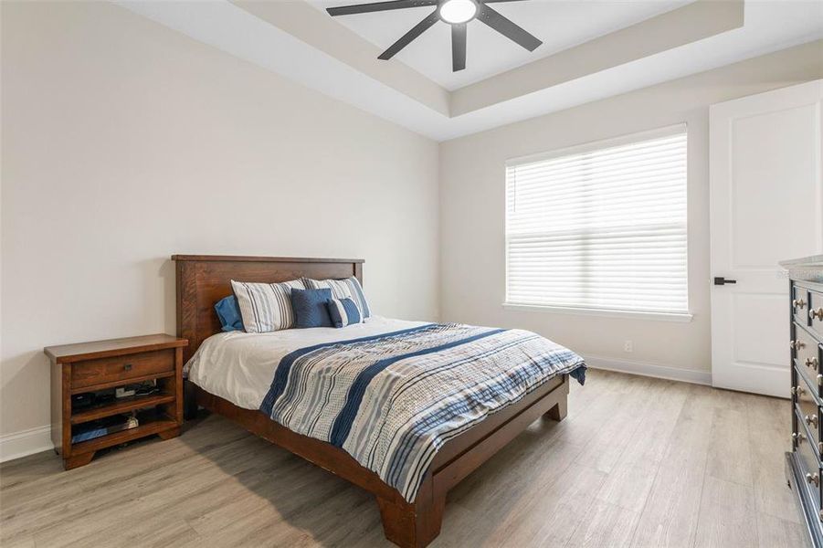 Primary Bedroom Suite with Tray Ceilings