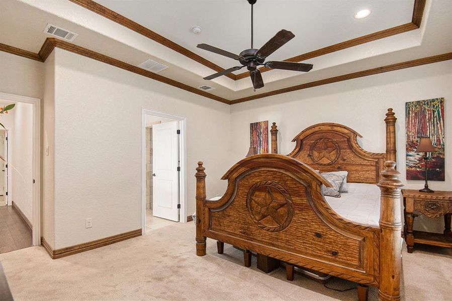 Bedroom featuring ceiling fan, crown molding, and a tray ceiling