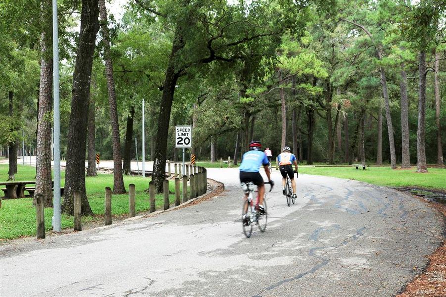 The park offers a variation of bike trails that range from easy to hard and a popular 3-mile running course.