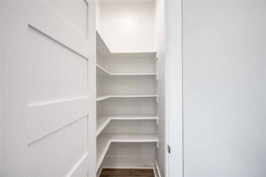 Plenty of storage in the ample kitchen pantry.