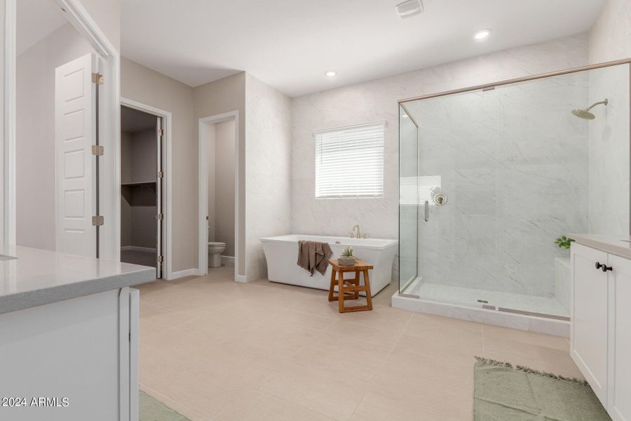 Large Walk In Shower & Soak Tub