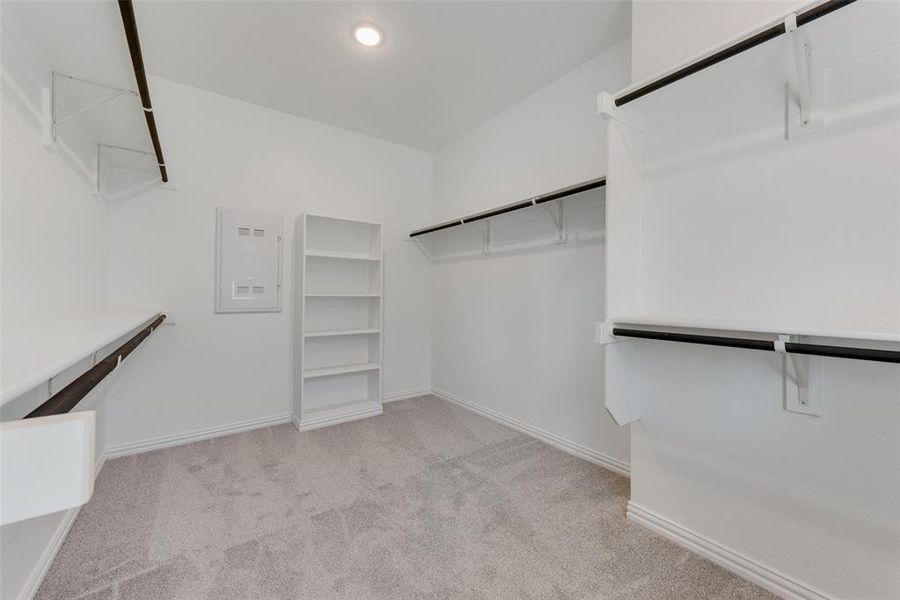 Spacious closet featuring light carpet and electric panel