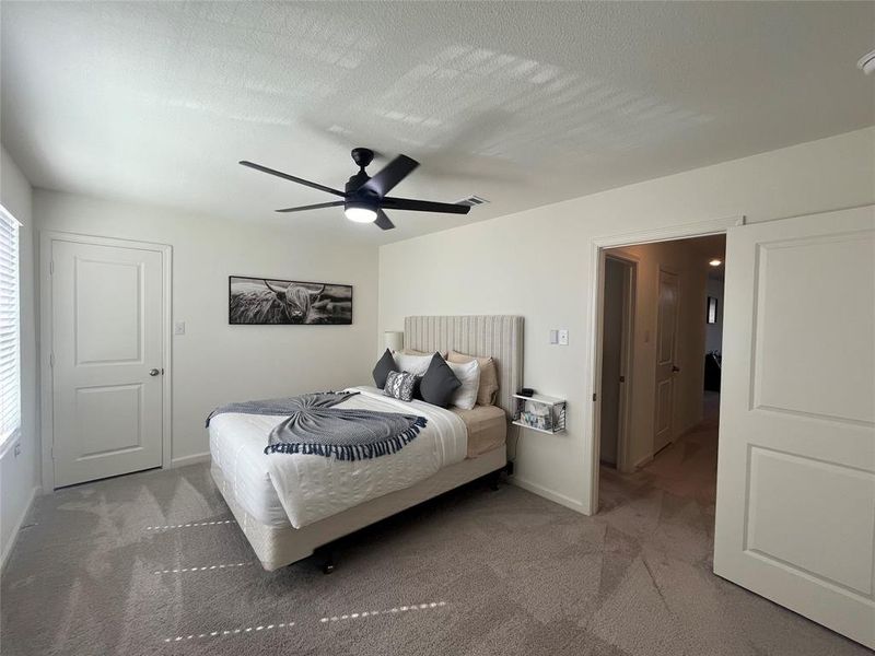 Bedroom featuring multiple windows, a textured ceiling, carpet flooring, and ceiling fan