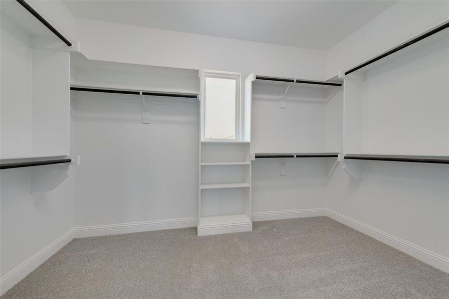 Walk in closet featuring carpet floors