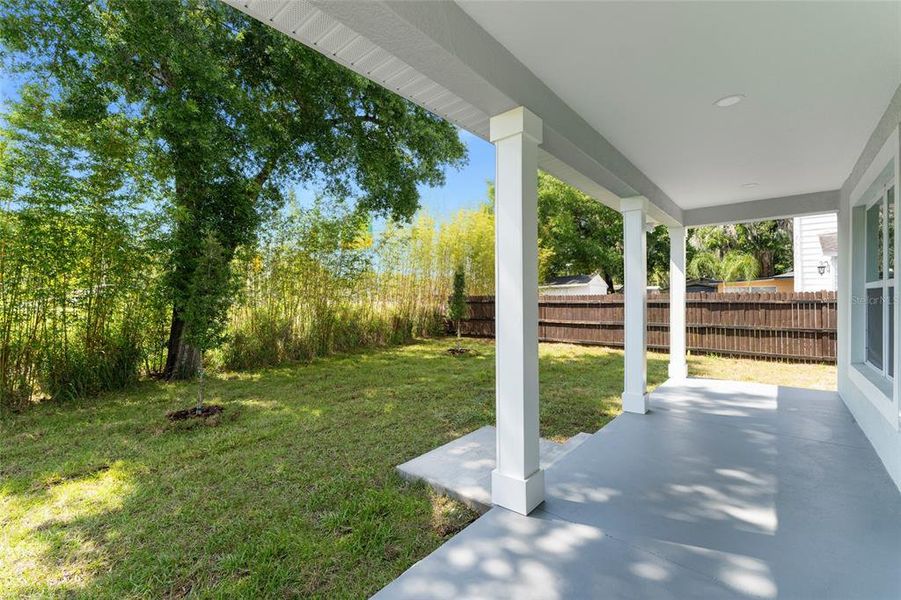 Back Porch and Tropical Yard